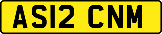 AS12CNM