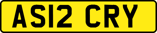 AS12CRY
