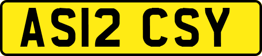 AS12CSY