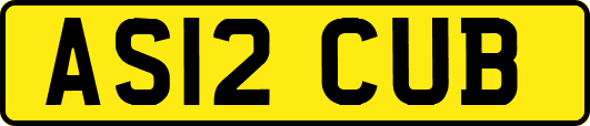 AS12CUB