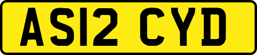 AS12CYD