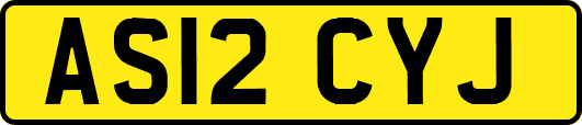 AS12CYJ