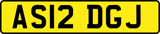 AS12DGJ