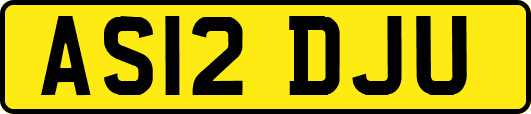 AS12DJU
