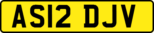 AS12DJV