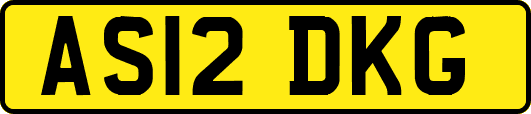 AS12DKG