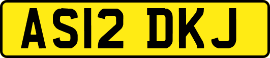 AS12DKJ
