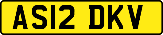 AS12DKV