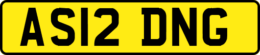 AS12DNG