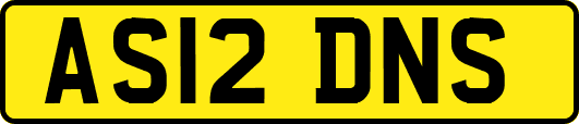 AS12DNS