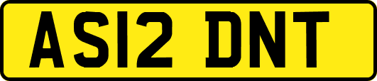 AS12DNT