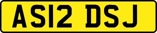 AS12DSJ