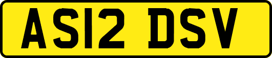 AS12DSV