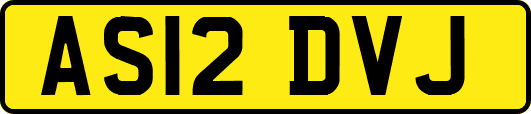 AS12DVJ