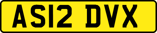 AS12DVX
