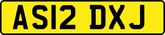 AS12DXJ