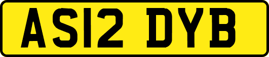 AS12DYB