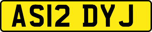 AS12DYJ