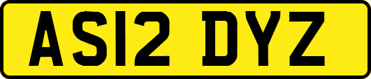 AS12DYZ