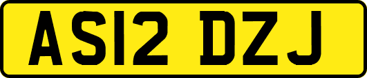 AS12DZJ