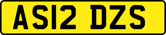 AS12DZS