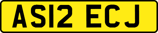 AS12ECJ