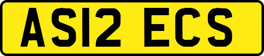 AS12ECS