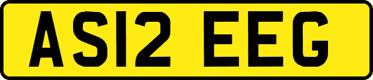AS12EEG