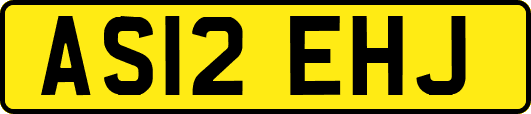 AS12EHJ