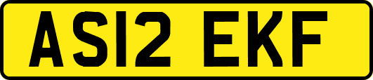 AS12EKF