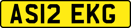 AS12EKG