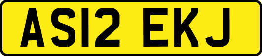 AS12EKJ