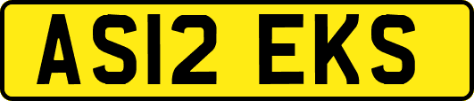 AS12EKS