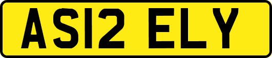 AS12ELY