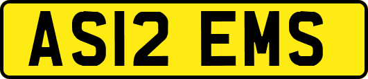 AS12EMS