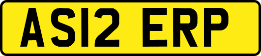 AS12ERP