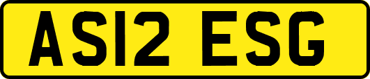 AS12ESG