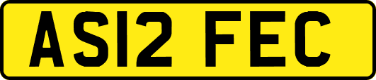 AS12FEC