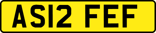 AS12FEF