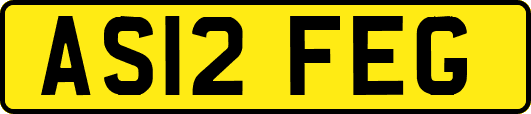 AS12FEG