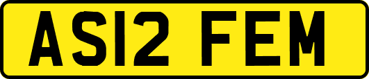 AS12FEM