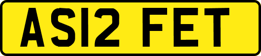 AS12FET