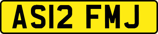 AS12FMJ