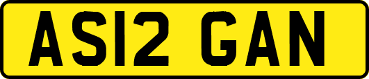 AS12GAN