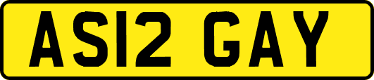 AS12GAY