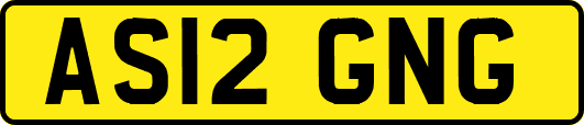 AS12GNG