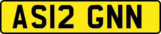 AS12GNN