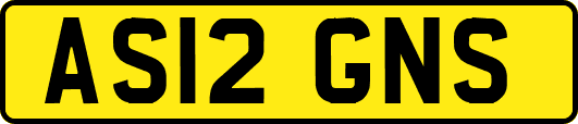 AS12GNS