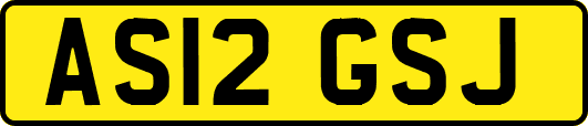 AS12GSJ