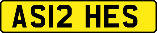 AS12HES